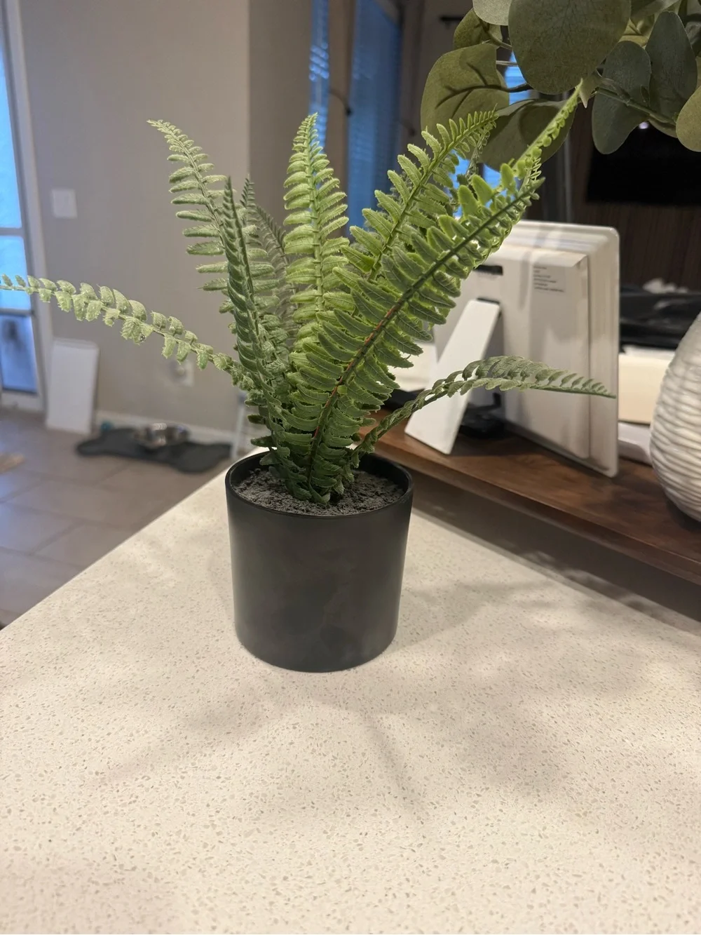 Artificial Fern Pair in Black Pots - Green Home Accents